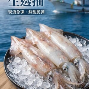 Aqua Lab【水產專家】 基隆野生透抽